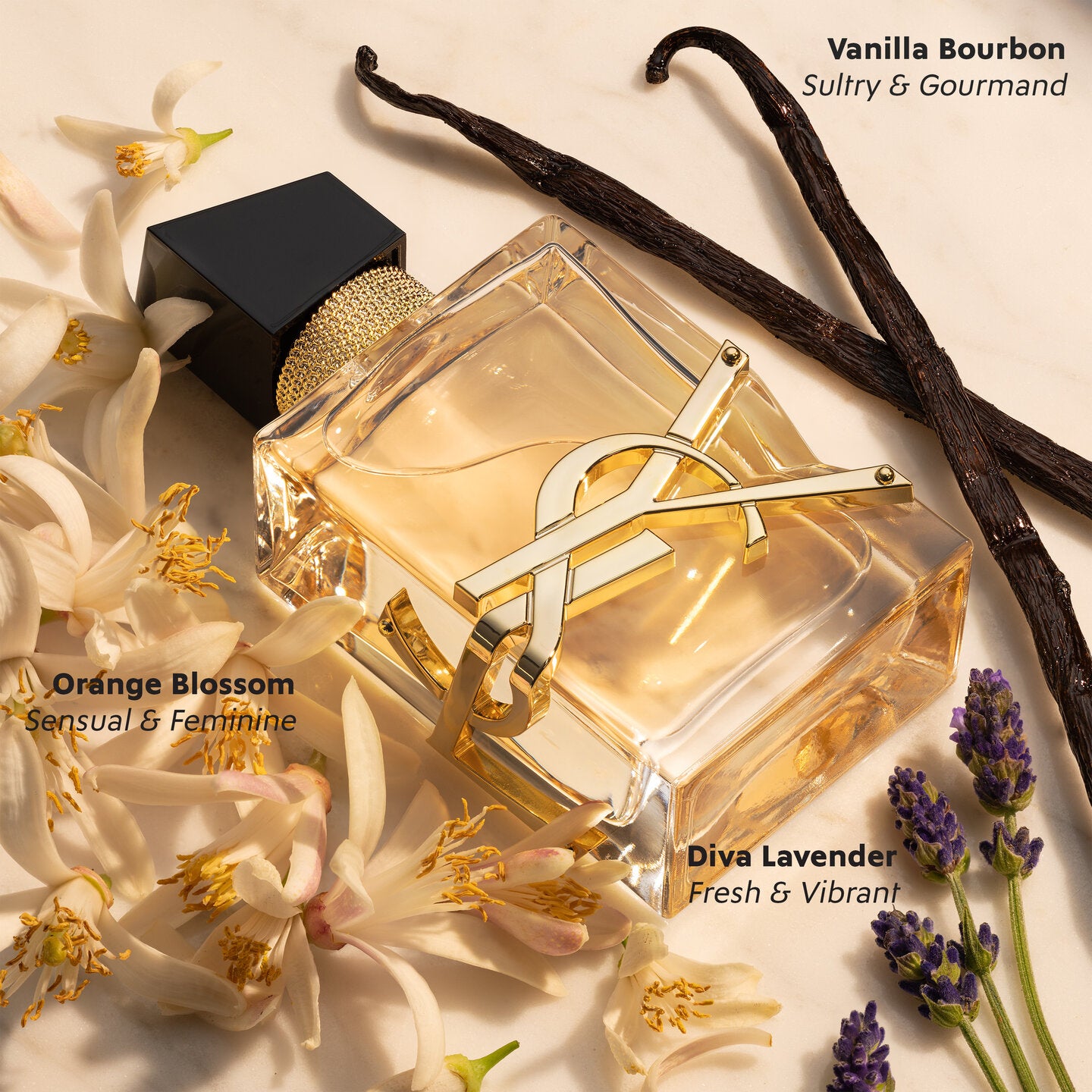 LIBRE – Yves Saint Laurent